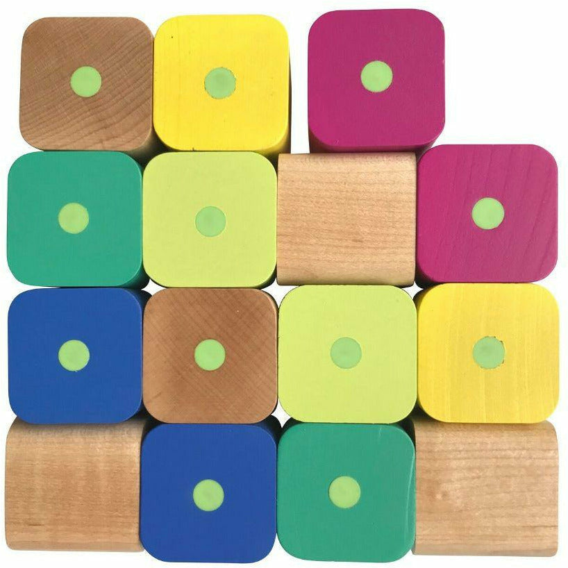 Tegu baby's deals first blocks