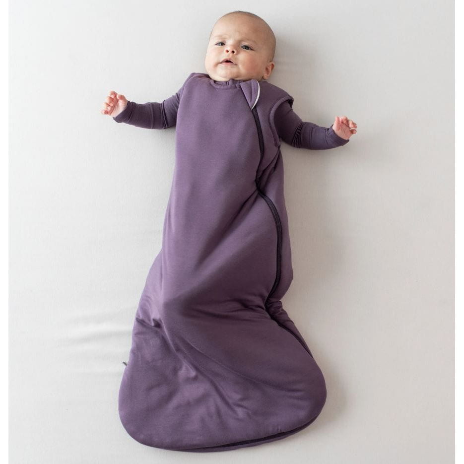 BNIB Kyte Baby Seahorse Sleep Bag order