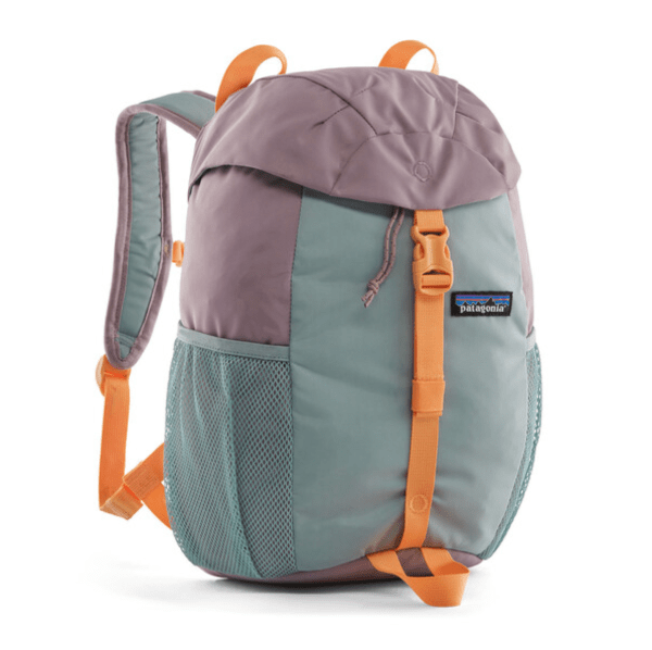 Patagonia small backpack best sale