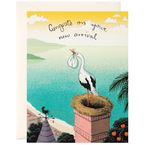 Baby & Birthday Greeting Cards -Joojoo Paper Greeting cards The Natural Baby Company Stork Delivery Greeting Card  