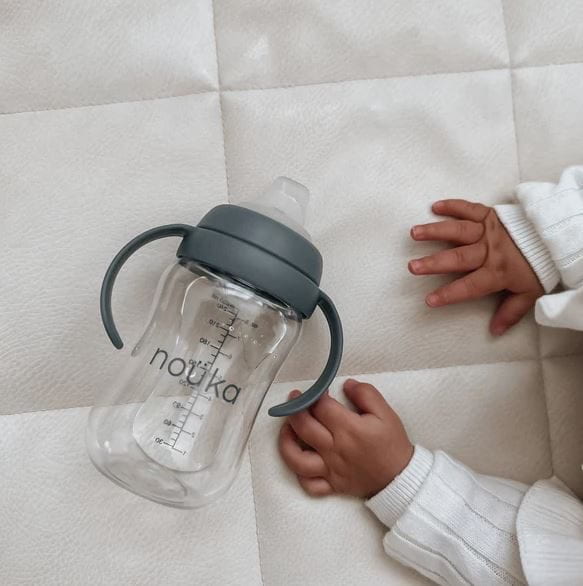 Noüka Transitional Sippy/Weighted Straw Cup Mealtime Noüka   