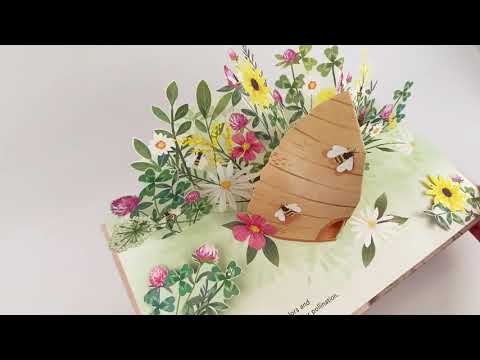 Up with Paper - Flora: A Botanical Pop Up Book